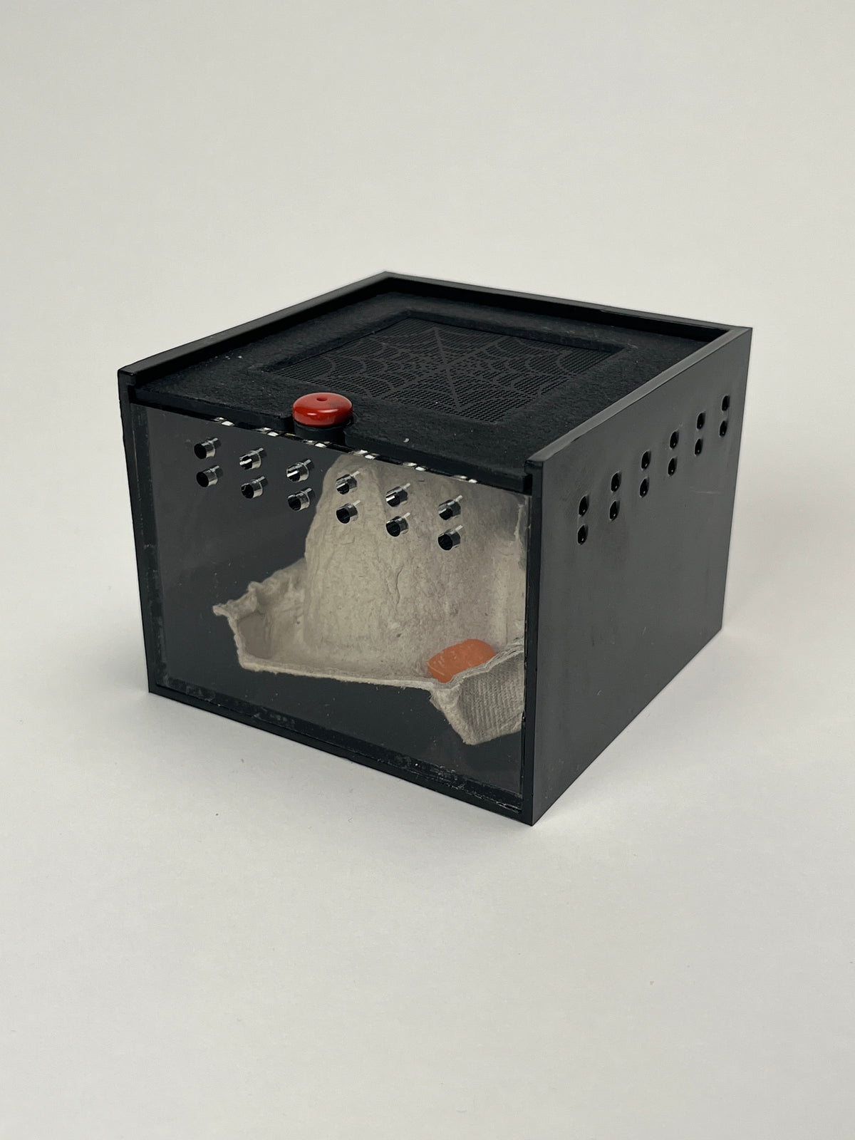 Adopt a Dubia! Mini Dubia Roach Habitat