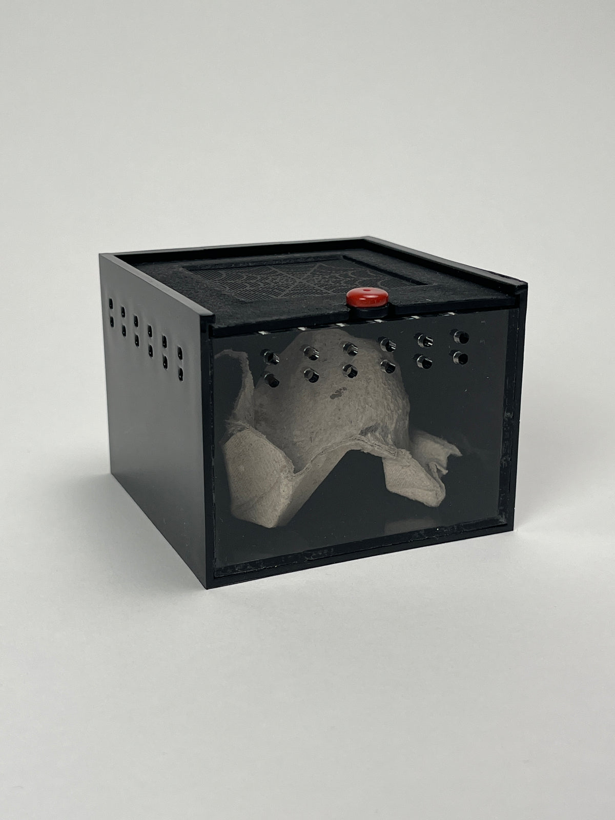 Adopt a Dubia! Mini Dubia Roach Habitat