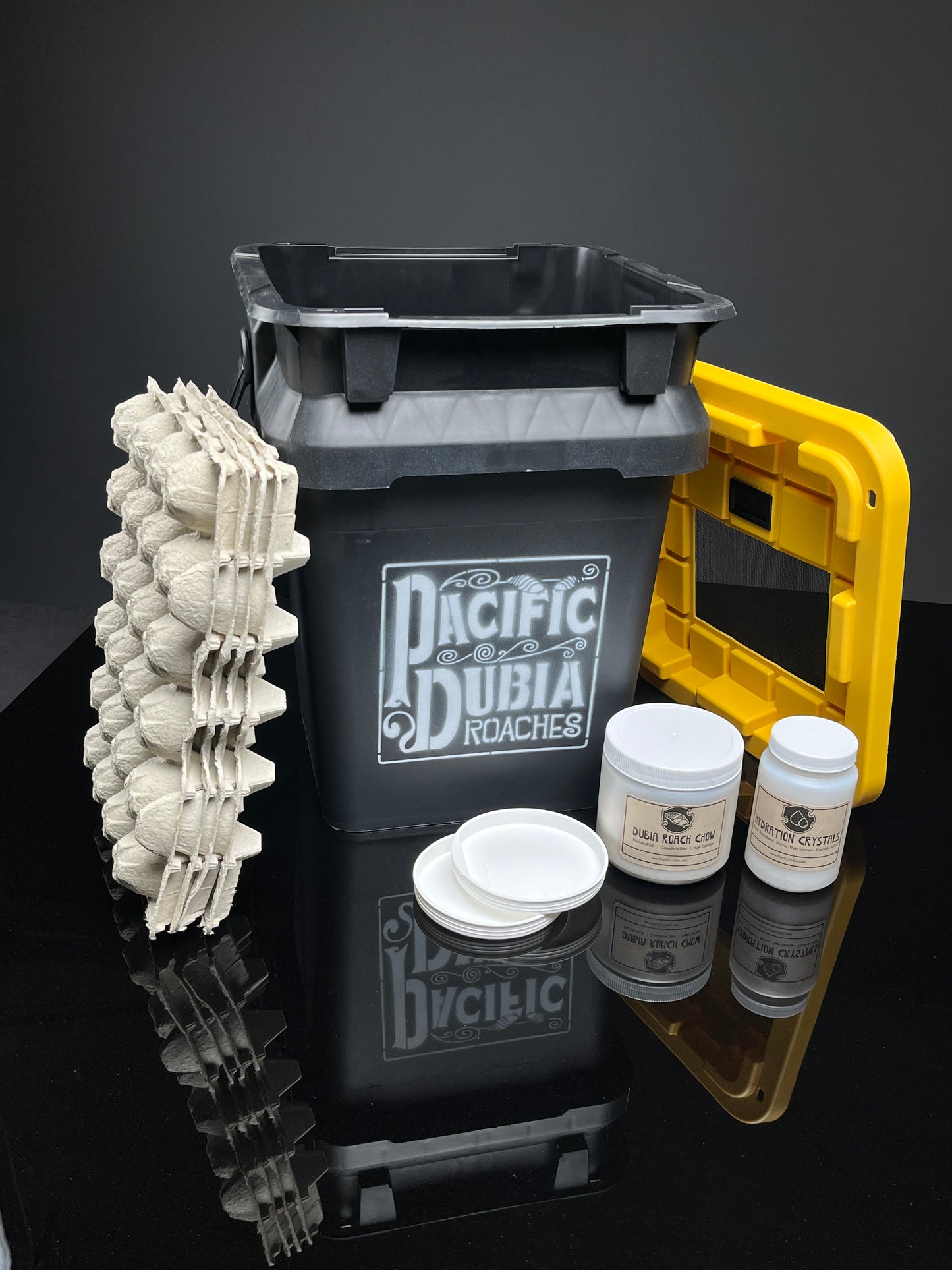 Dubia Roach Breeding Kit (JUST ADD DUBIA!)