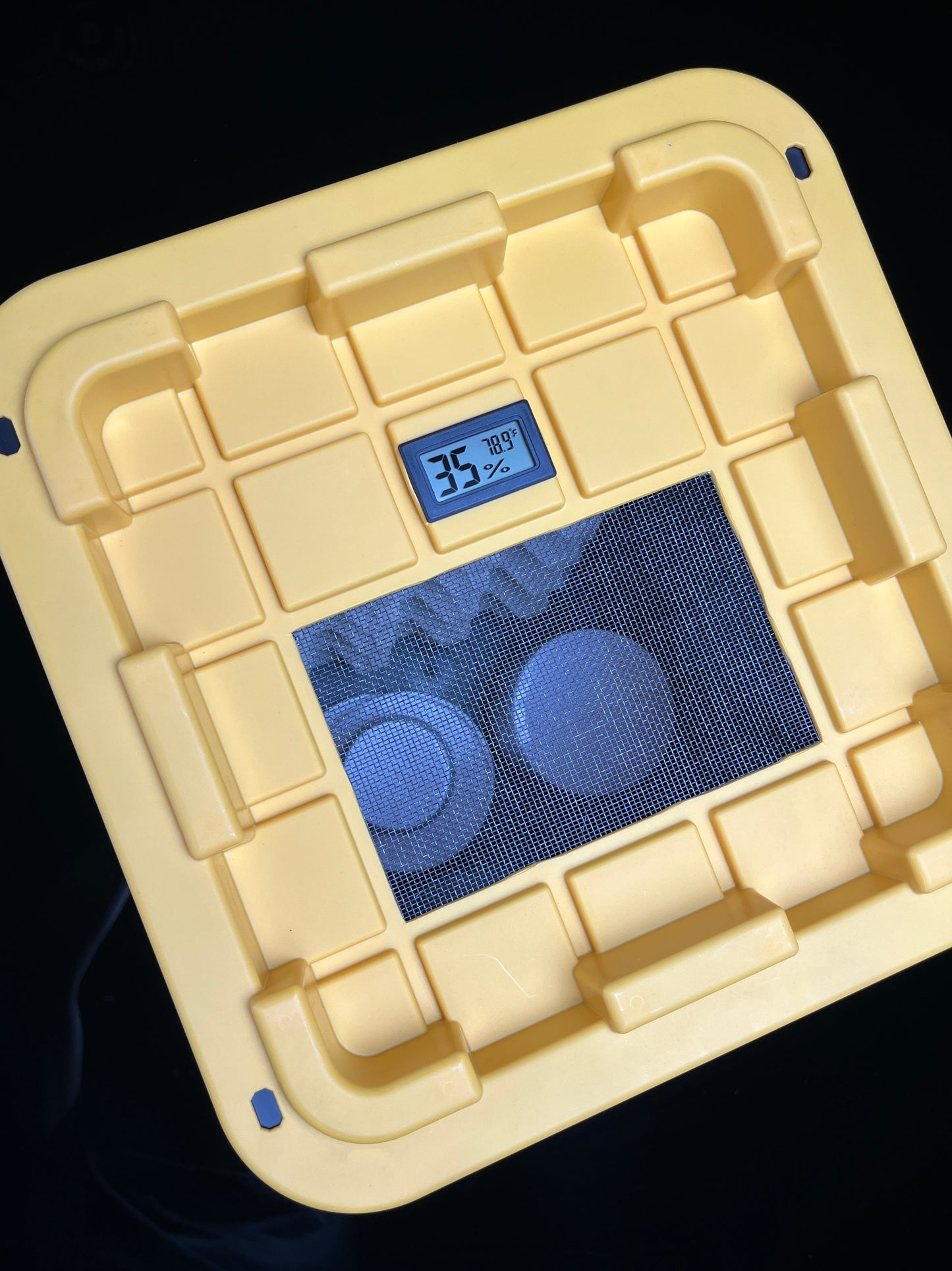 Dubia Roach Breeding Kit (JUST ADD DUBIA!)