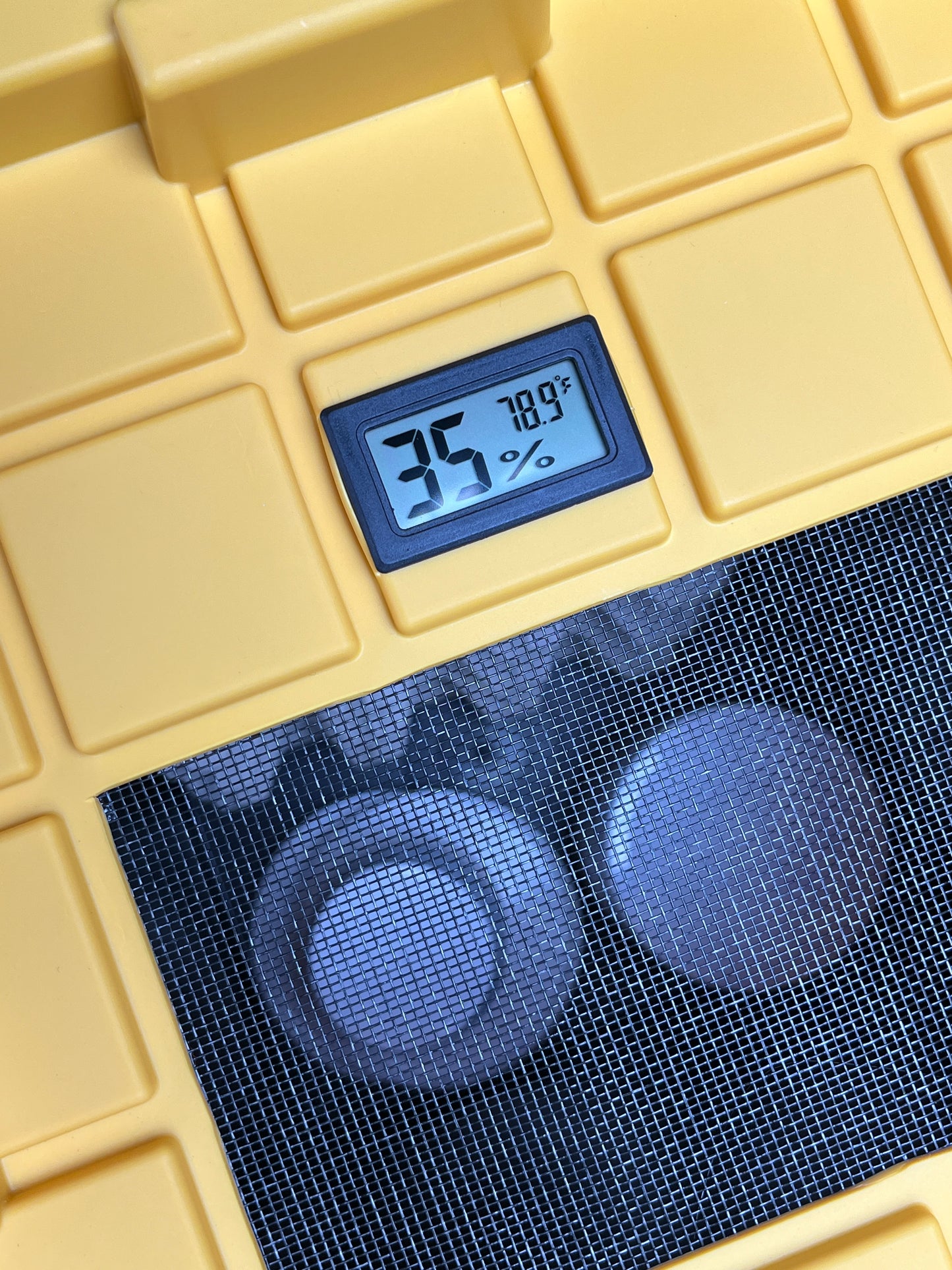 Dubia Roach Breeding Kit (JUST ADD DUBIA!)