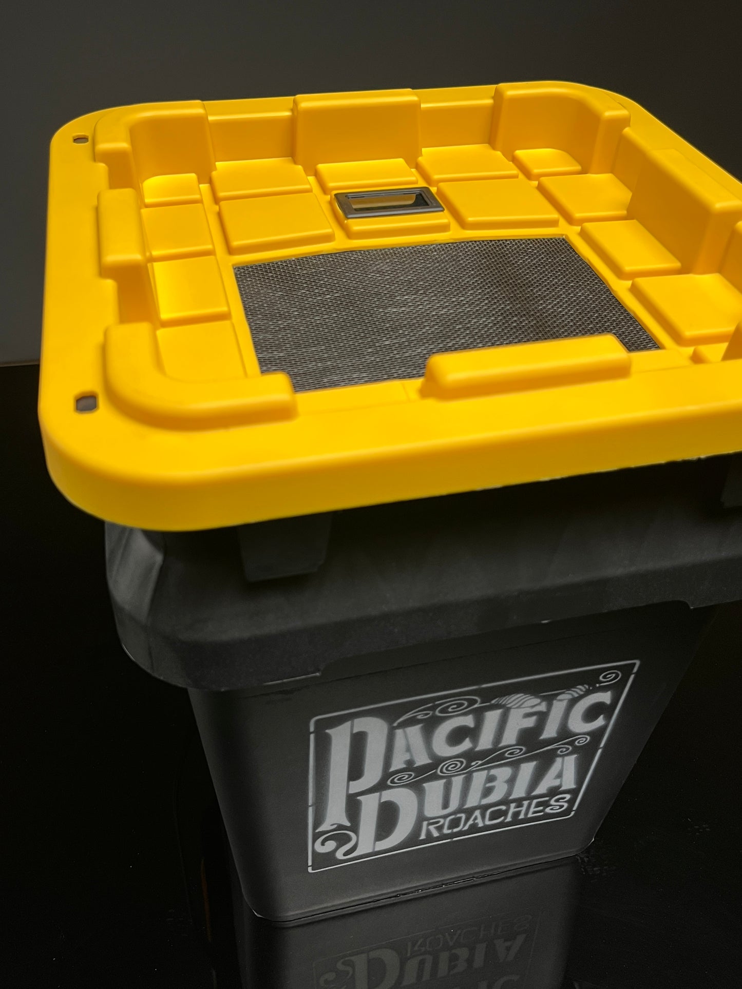 Roach Breeding Box - vented lid with humidity meter - dubia, red runner, hissers