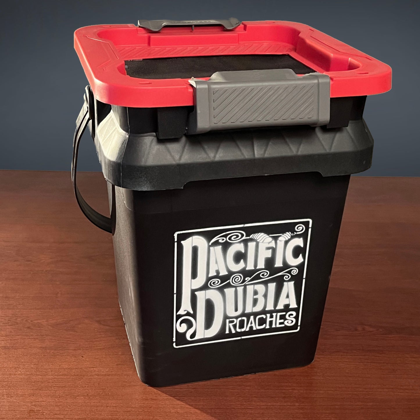Dubia Roach Breeding Kit (JUST ADD DUBIA!)
