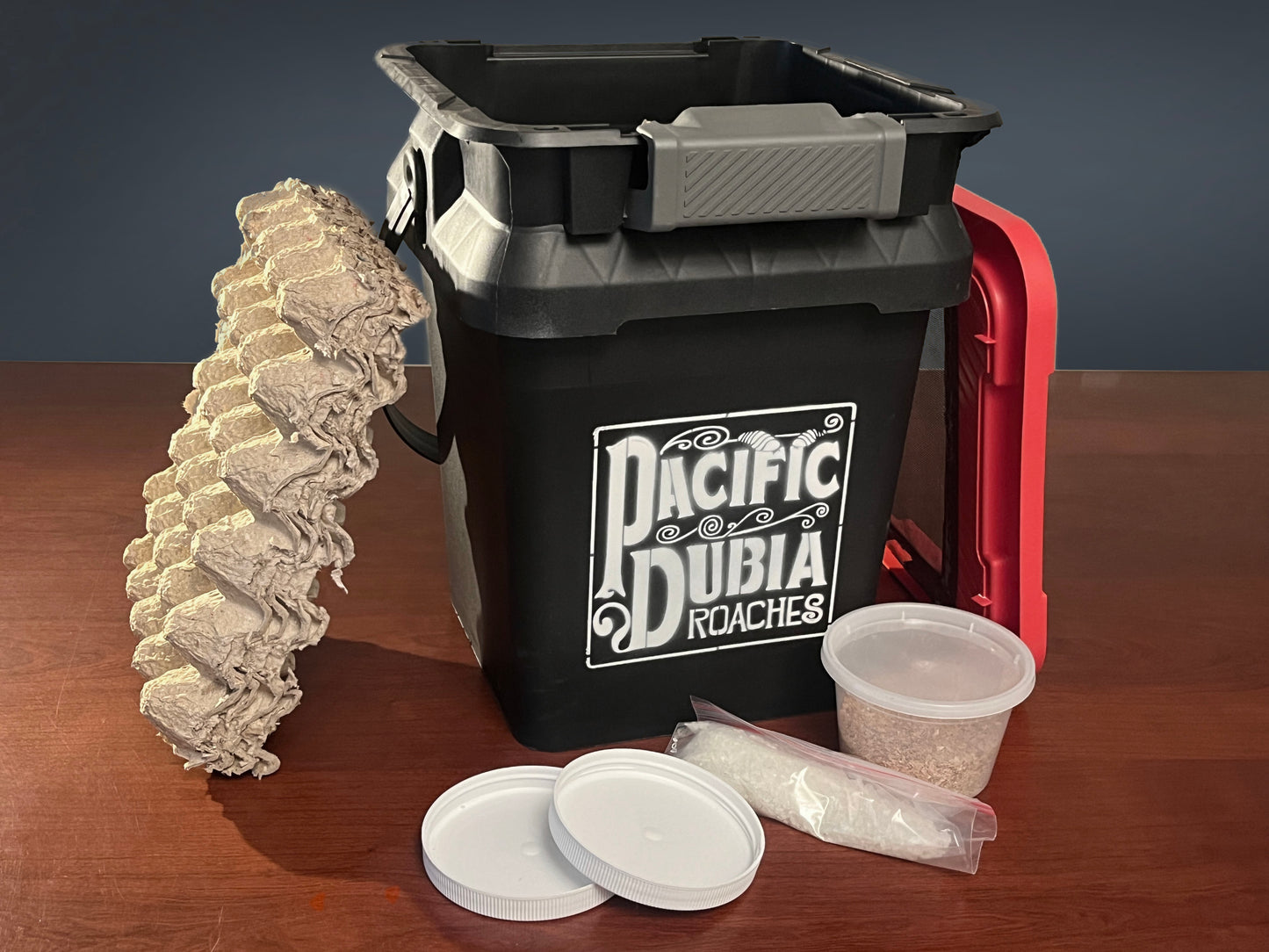 Dubia Roach Breeding Kit (JUST ADD DUBIA!)