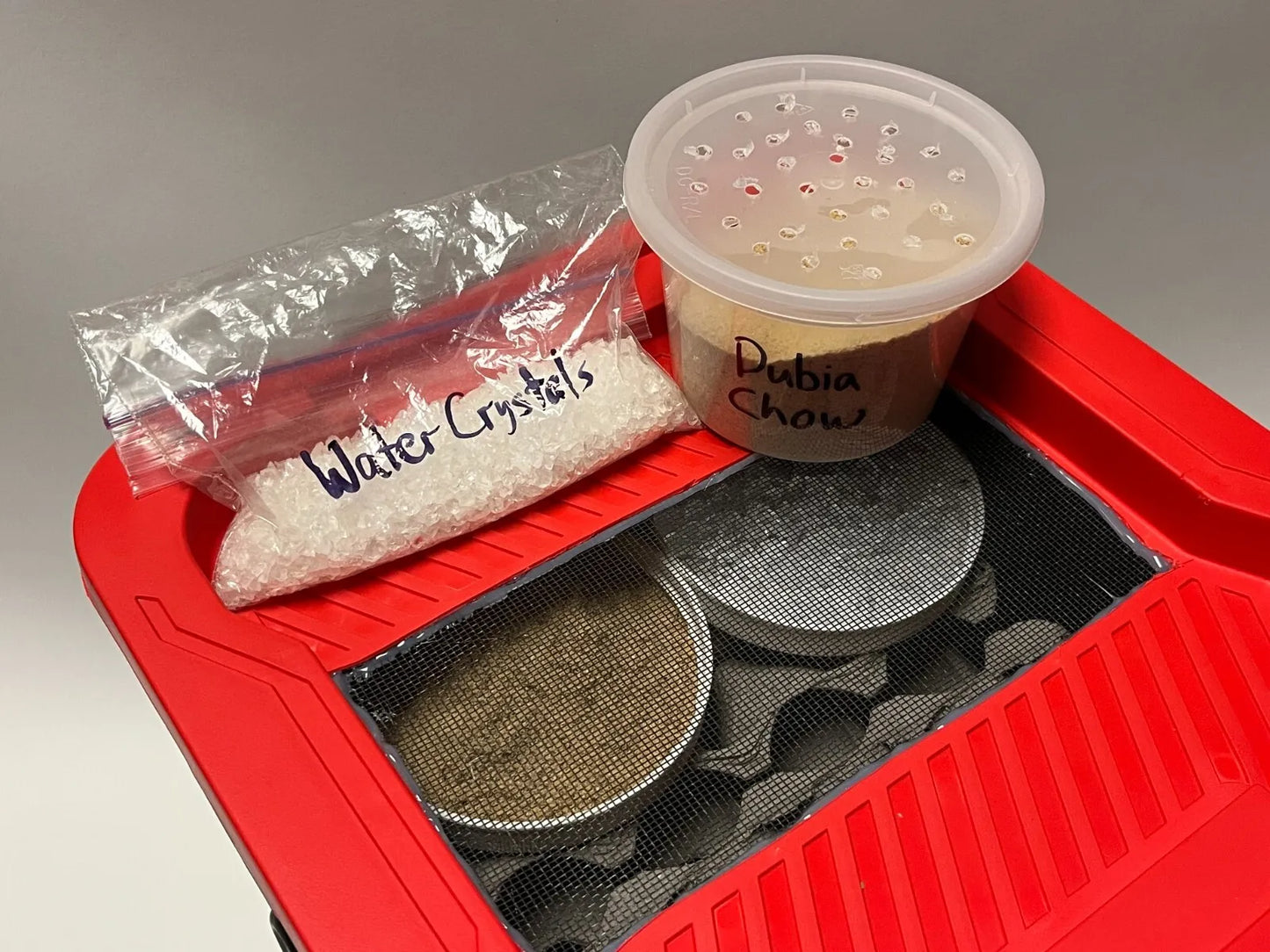 Dubia Roach Breeding Kit (JUST ADD DUBIA!)